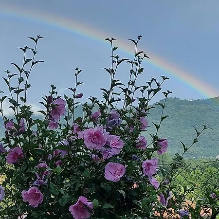 Casa Arcobaleno Pensión *